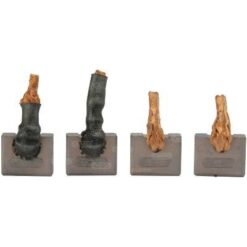 JSX72-73 ΚΑΡΒΟΥΝΑ_ΚΑΡΒΟΥΝΑ ΜΙΖΑΣ