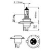 12342DVS2 Λάμπες ΣΕΤ H4 DIAMOND VISION 12V 60/55W_ΛΑΜΠΕΣ ΑΛΟΓΟΝΟΥ 12-24V